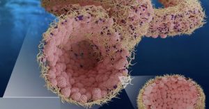 Aquabots in medicine