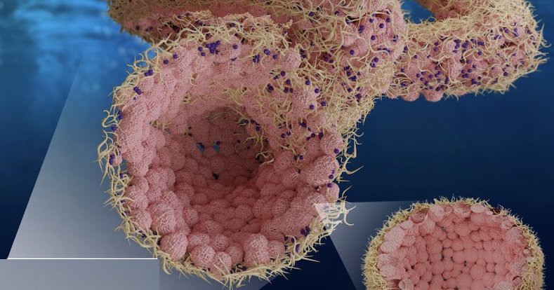 Aquabots na medicina