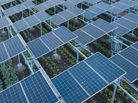 Agrivoltaics in Colorado