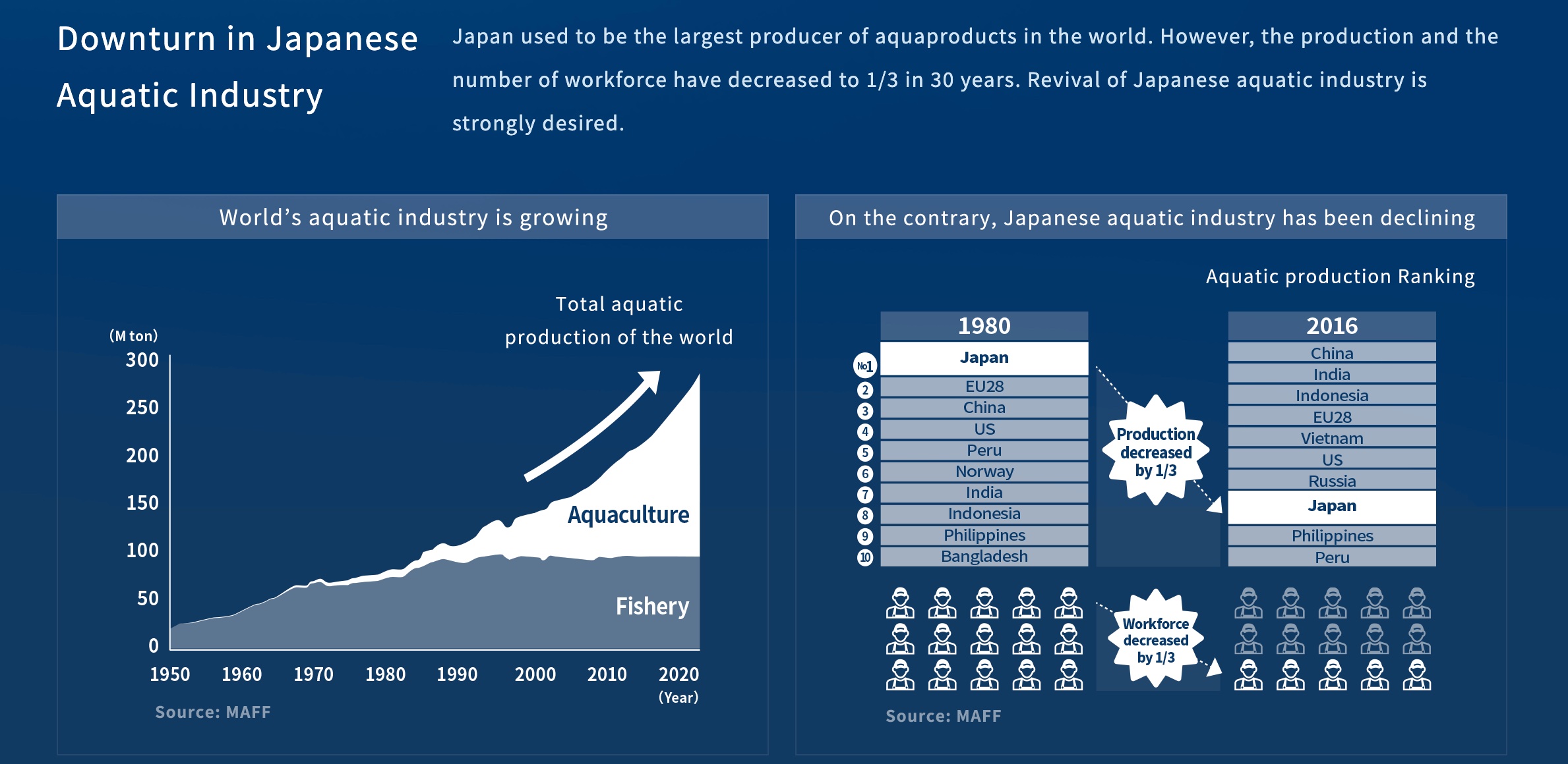 La relación coste-beneficio es el mayor reto para que prevalezca la acuicultura en tierra - Instituto Regional de Pesca 