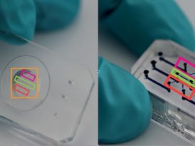 Biosensors