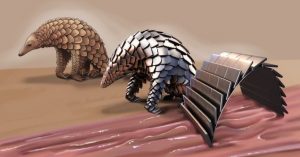 A new medical robot, inspired by pangolins