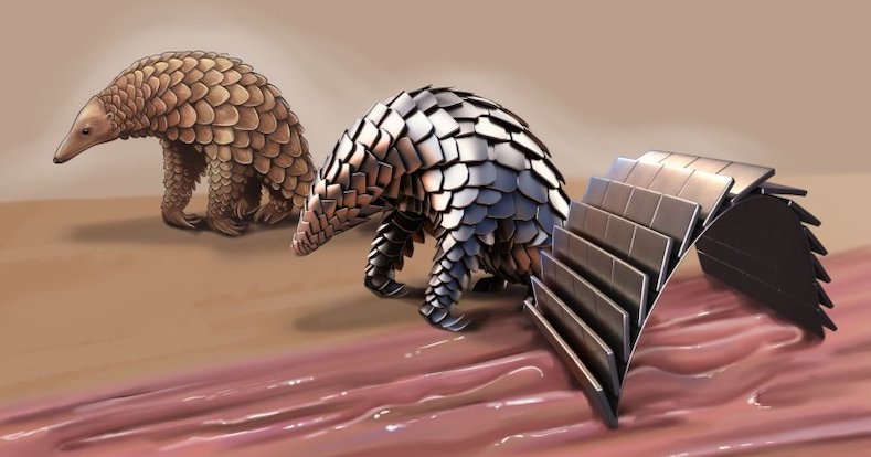 A new medical robot, inspired by pangolins