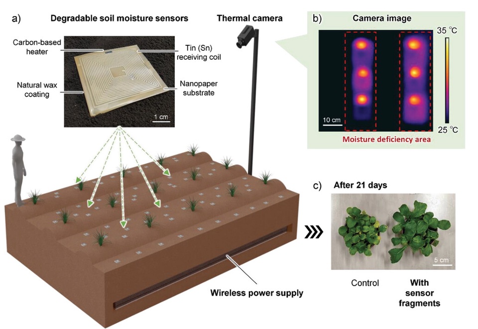 Skizze von biologisch abbaubaren Feuchtigkeitssensoren
