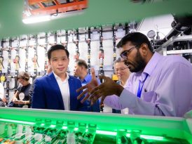 The Sustainable Tropical Data Centre Testbed (STDCT) facility, hosted on the NUS campus