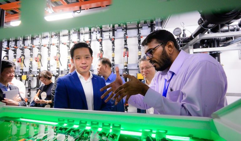 The Sustainable Tropical Data Centre Testbed (STDCT) facility, hosted on the NUS campus