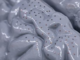 The tiny sensors could efficiently collect information from the brain (Credit: Nick Dentamaro/ Brown University)