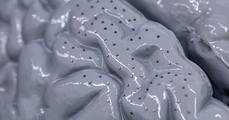 minúsculos sensores poderiam coletar informações do cérebro com eficiência (Crédito: Nick Dentamaro/Brown University)