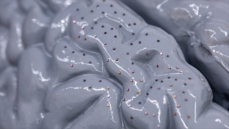 minúsculos sensores poderiam coletar informações do cérebro com eficiência (Crédito: Nick Dentamaro/Brown University)