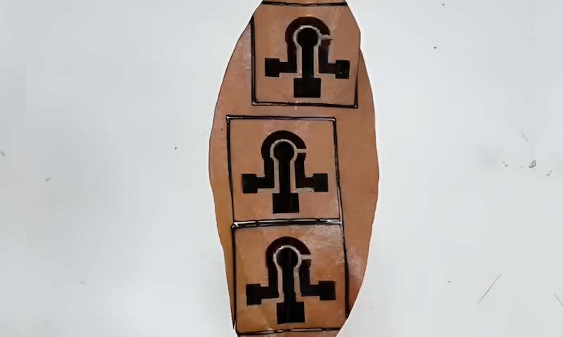 Sensor printed on leaf by CO2 laser.